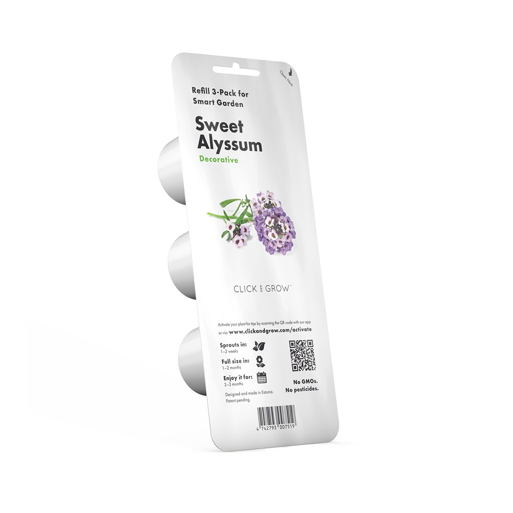 Sweet_Alyssum_3pack_whitebg_1200x