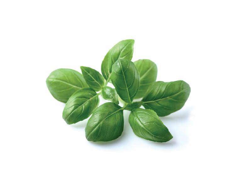 refill_0012_basil