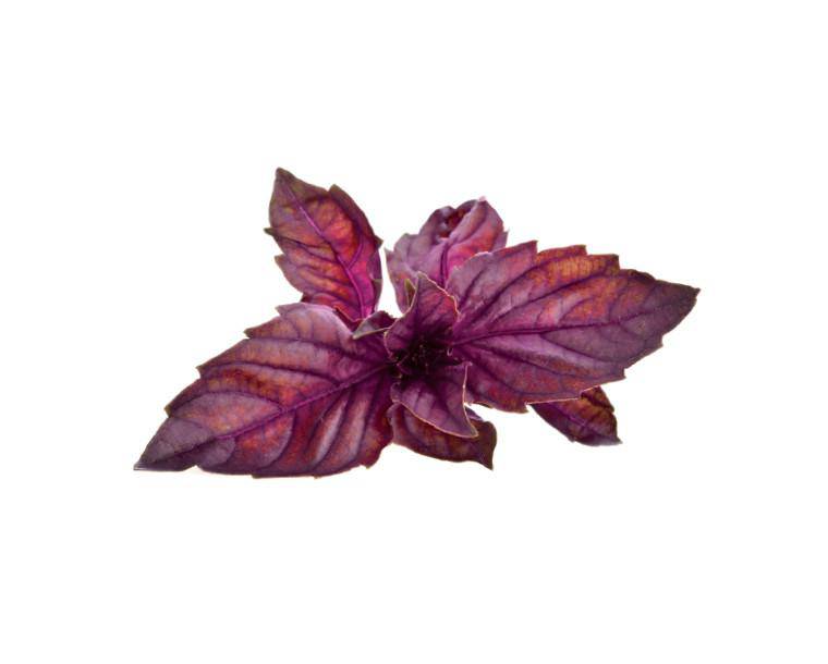 refill_0015_red_basil