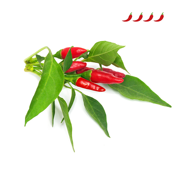 Piri-Piri-2400x2400-with-scale-v4