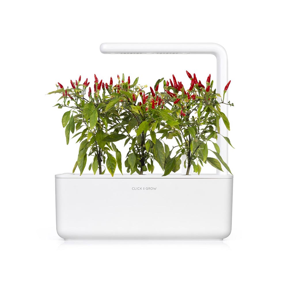 Piri-Piri-Chili-SG3-1200x1200_1200x