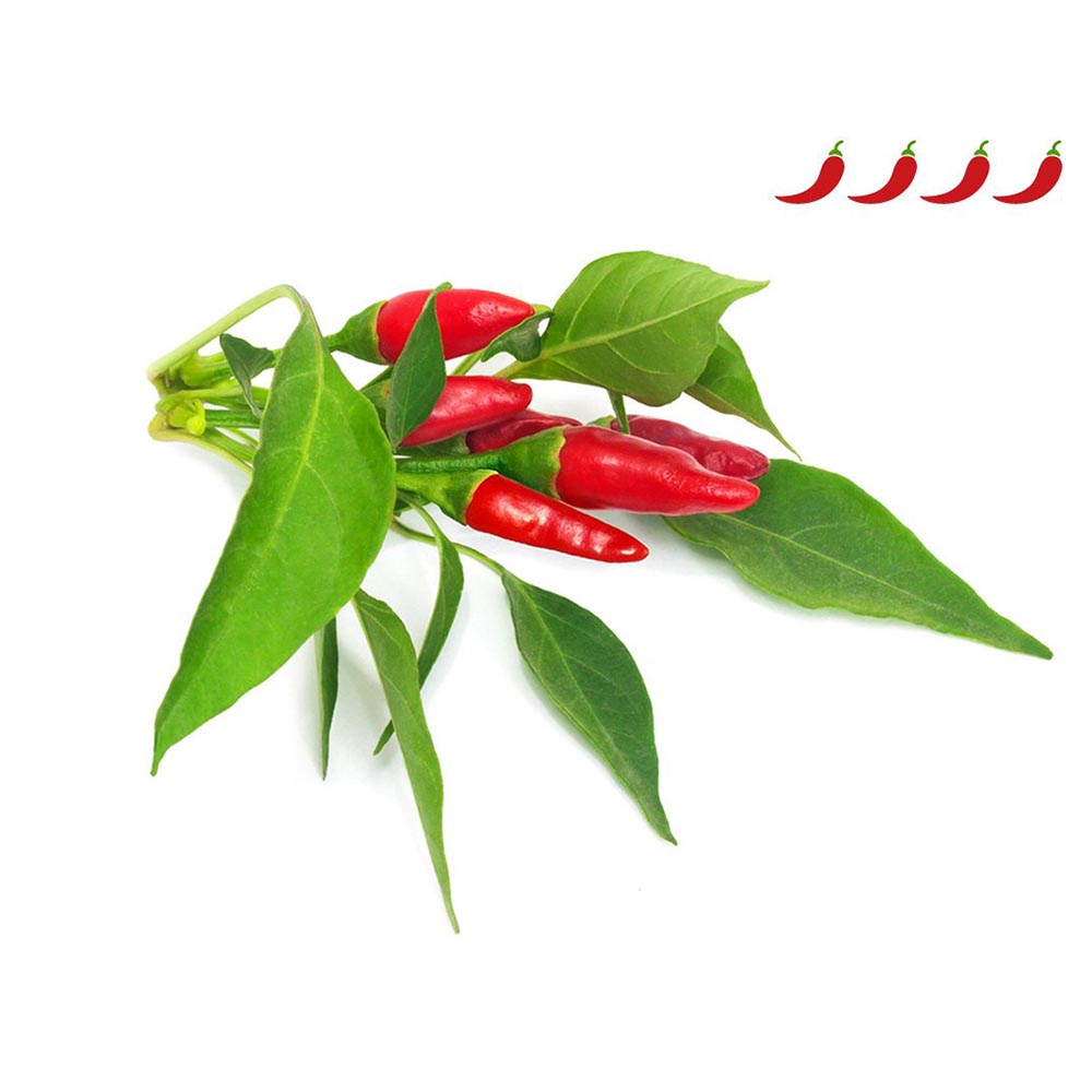 Piri-piri-1200x960-heat-scale_1200x